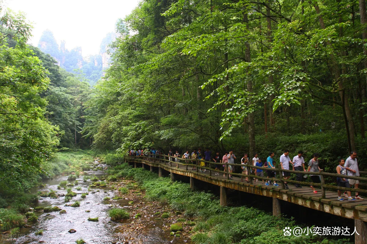 张家界天门山攻略三日游(张家界天门山一日游旅游攻略)