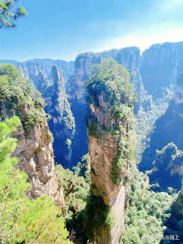 张家界旅游必去景区是哪个省(张家界旅游必去景区是哪个省份)