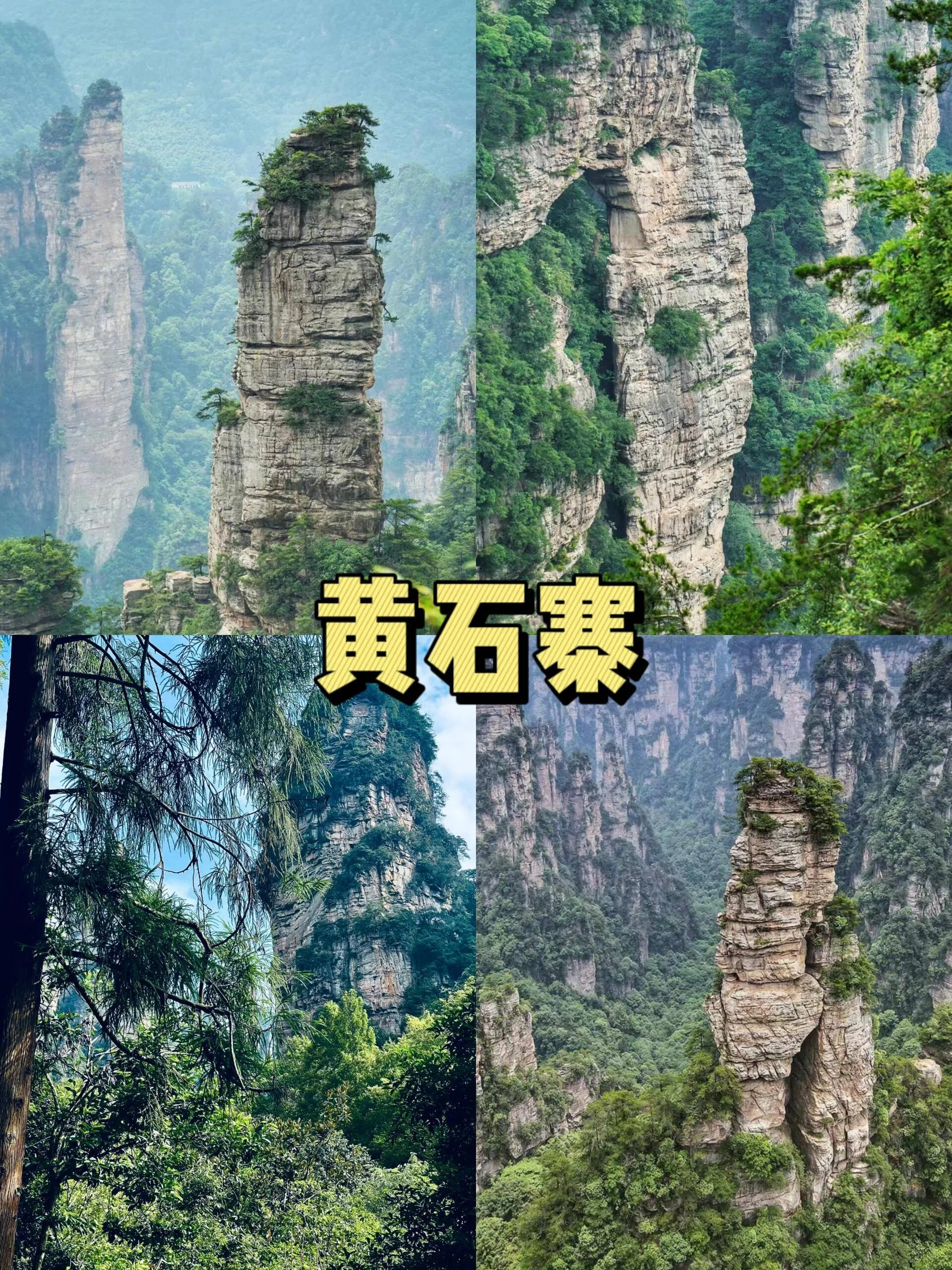 去湖南张家界玩需要多少钱(去湖南张家界玩预算大概多少)