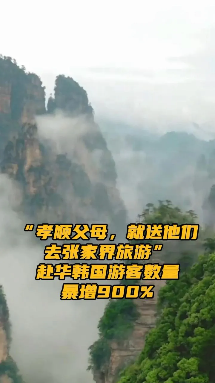 赴张家界旅行(去张家界的旅行团)