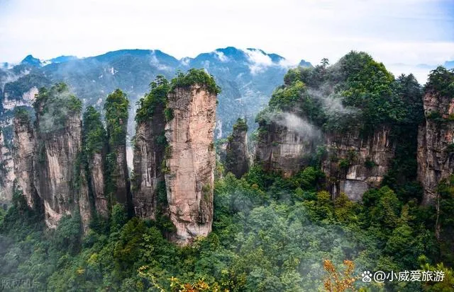 六月适合去张家界旅游吗(六月适合去张家界旅游吗现在)