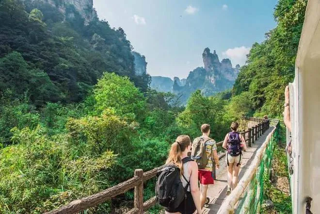张家界旅行纯玩(张家界纯玩自由行)