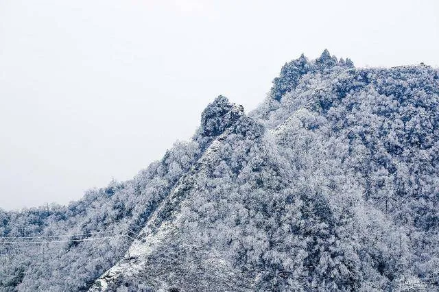 冬天适合去张家界旅游吗(冬天去张家界需要带什么东西)