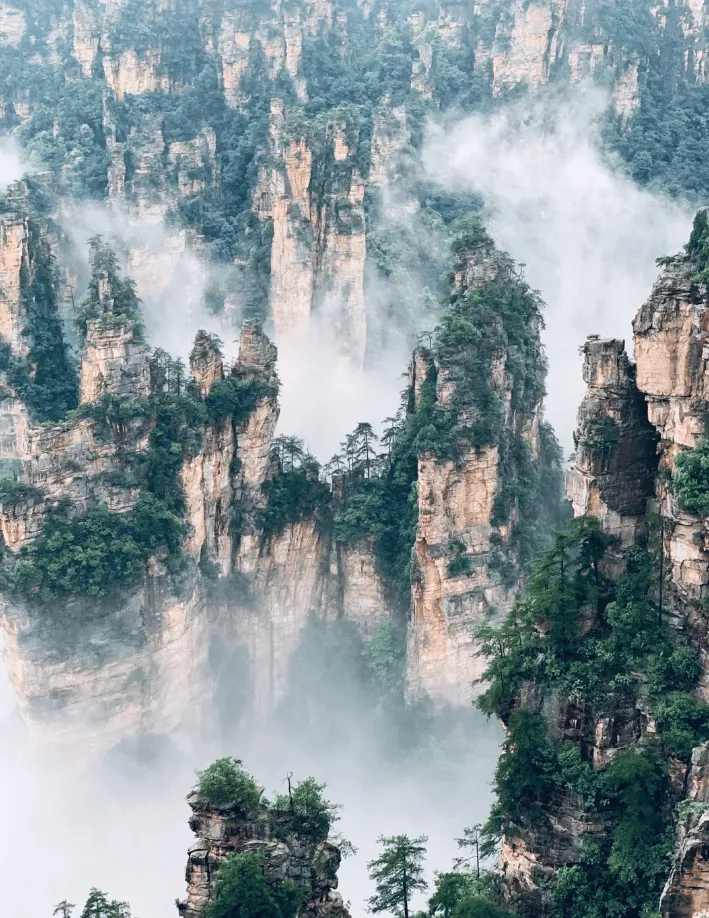 张家界的旅游点(张家界旅游点评范本)