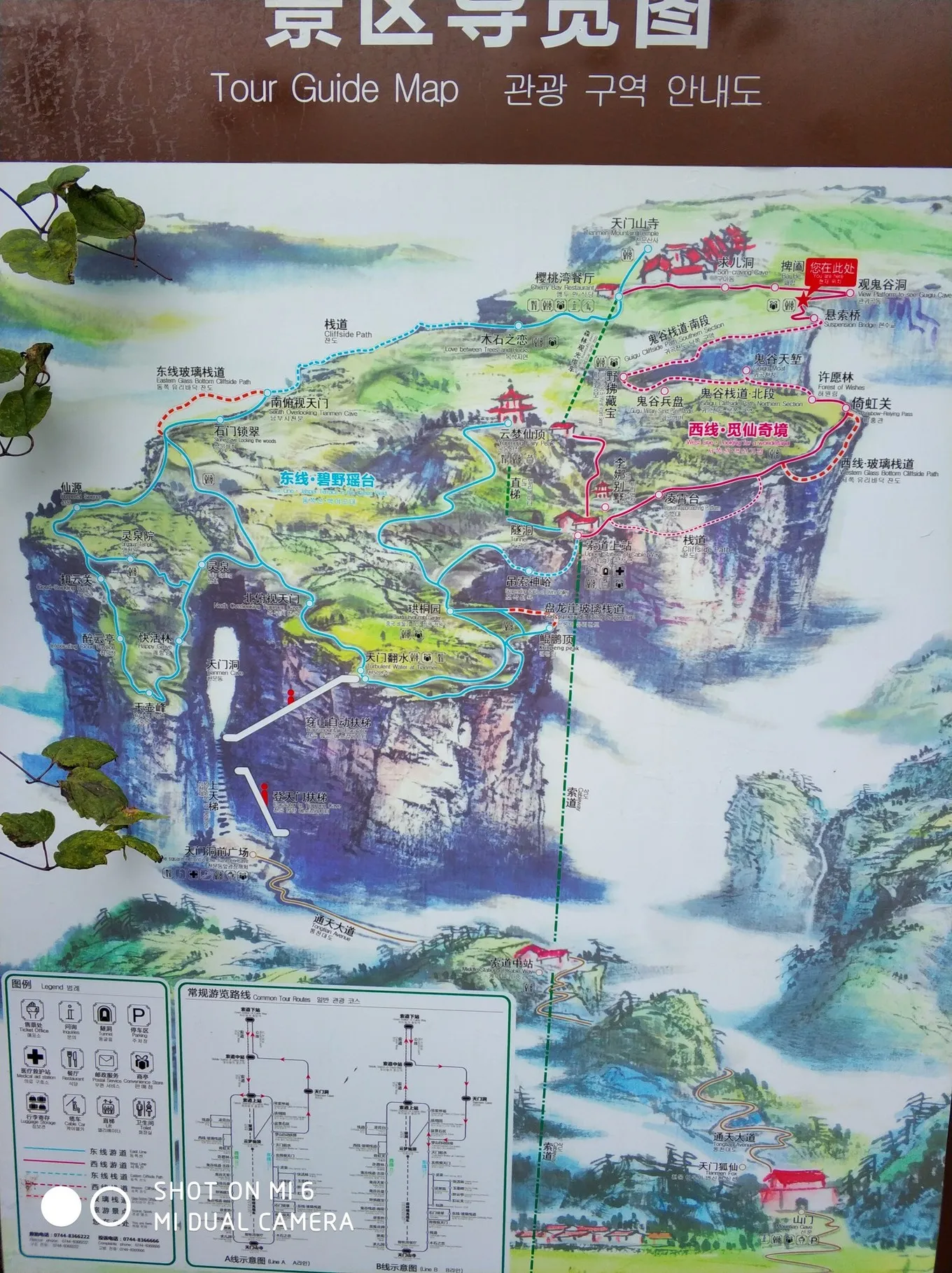 张家界天门山国家森林旅游攻略(张家界天门山国家森林公园旅游攻略)