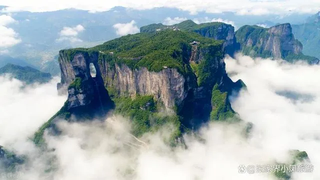 张家界坑人旅游(张家界坑人旅游团)