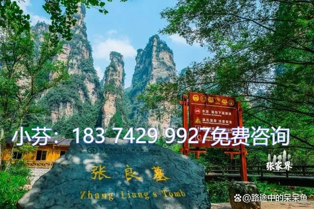 张家界好玩还是天门山(张家界好玩还是天门山好玩一点)