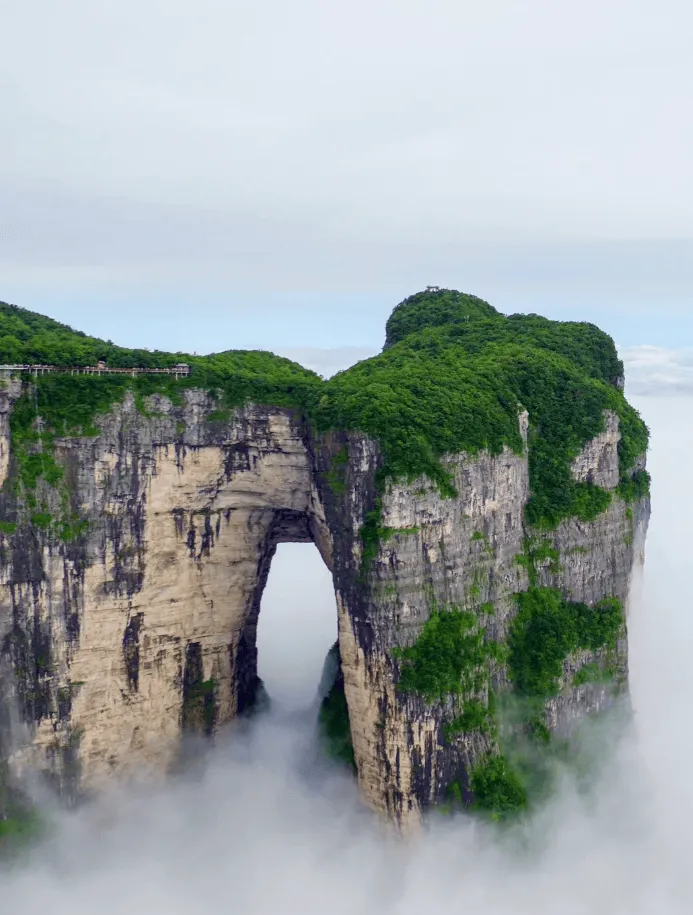 张家界的旅游点(张家界旅游点评范本)