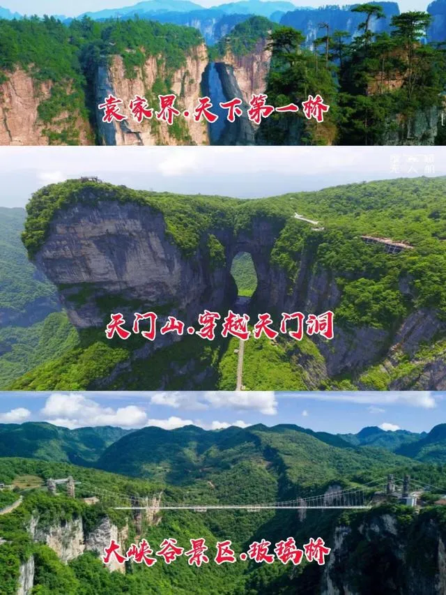 旅行去张家界(自由行去张家界攻略)