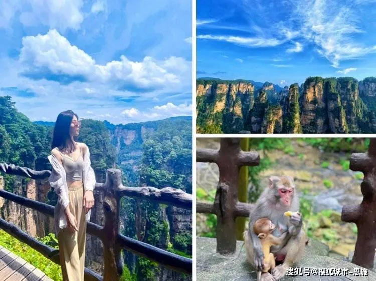 旅游张家界当地导游(有没有张家界当地导游麻烦给推荐一下)
