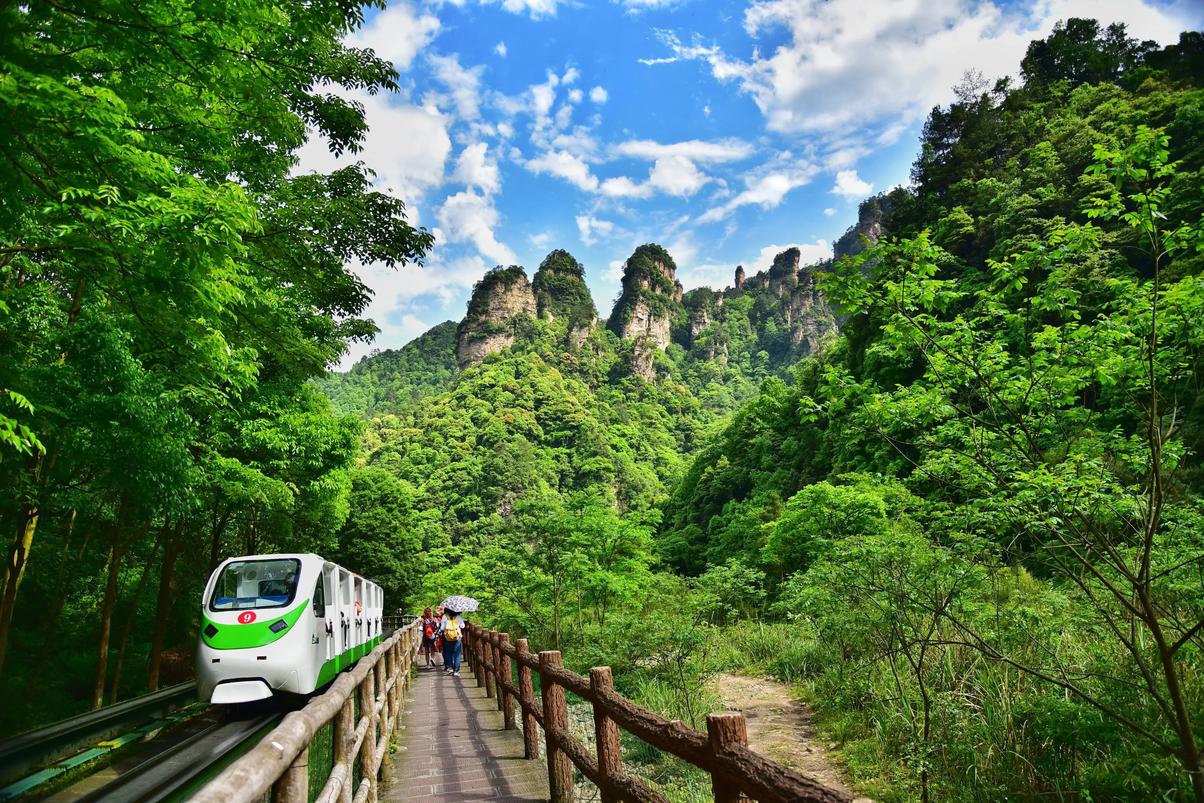 张家界区旅游(张家界区旅游攻略)