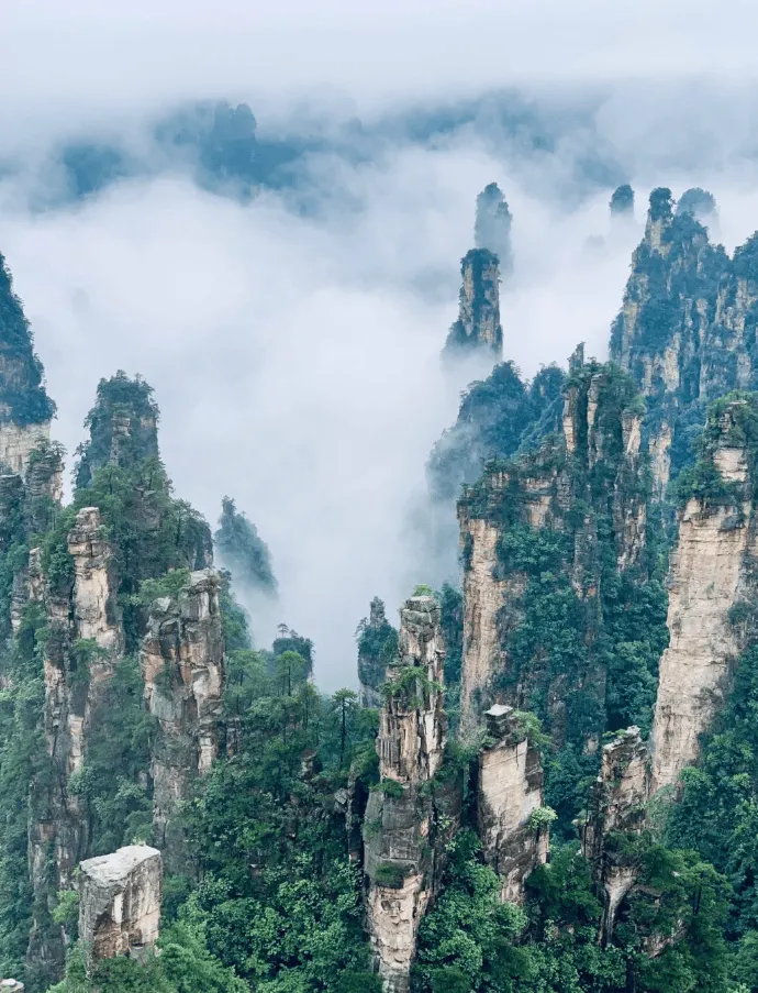 去张家界旅游怎么玩比较好(去张家界旅游怎么玩比较好玩)