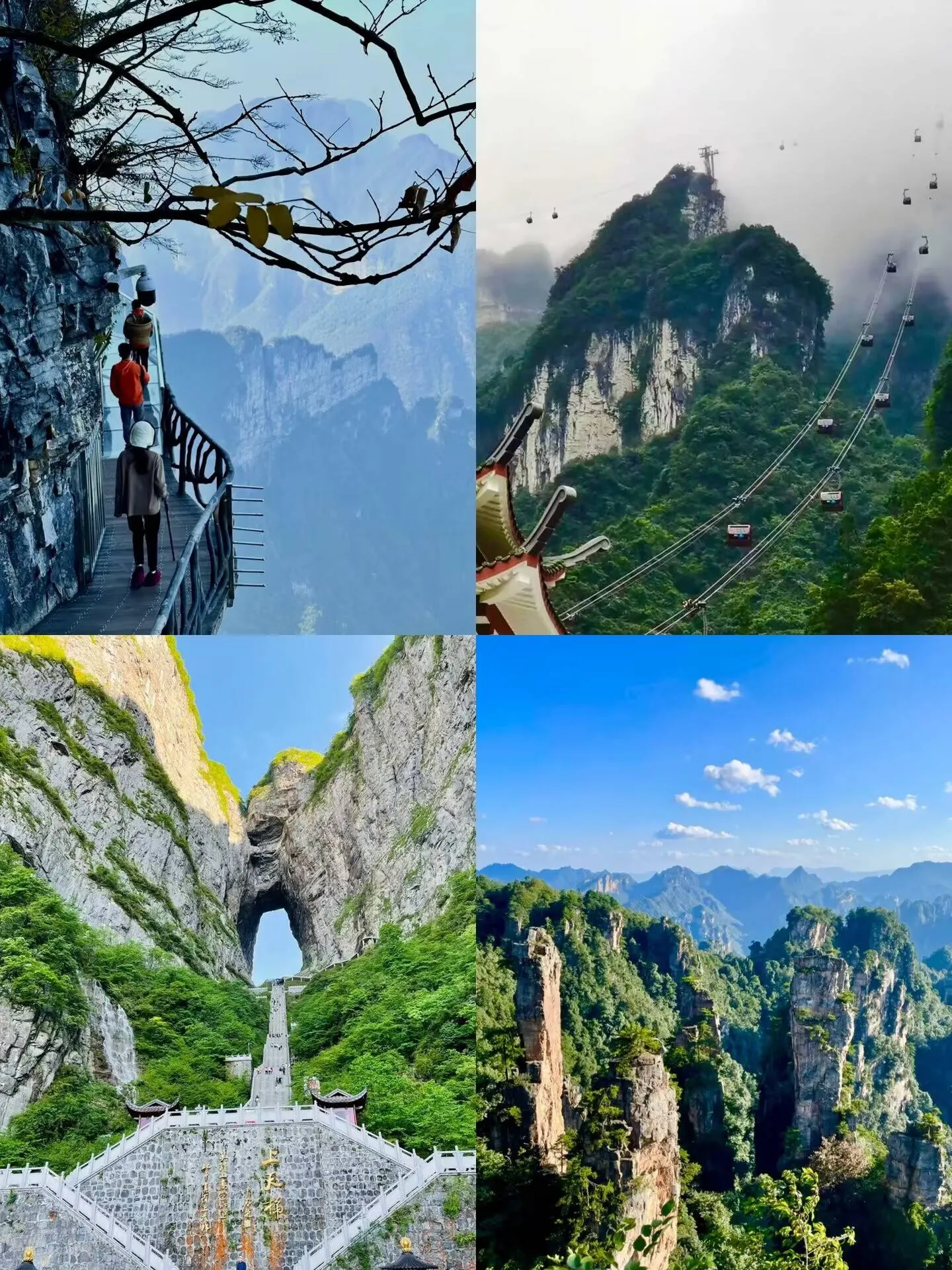 张家界旅游都有哪些(张家界旅游都有哪些景点)