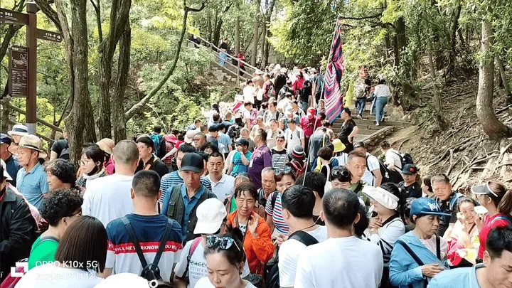 到张家界玩花费(去张家界玩3天的费用)