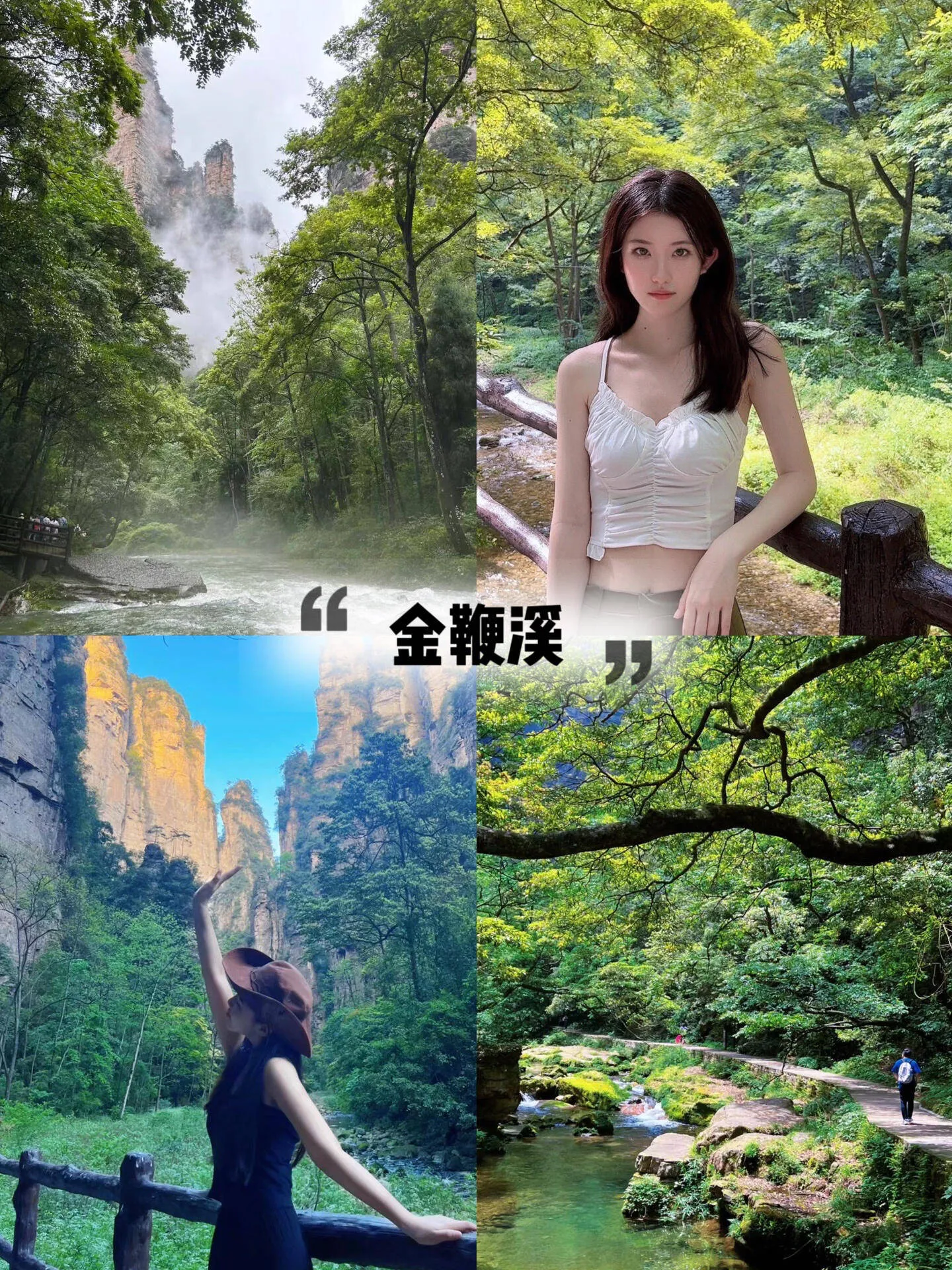 张家界旅游者(张家界旅游者特点)