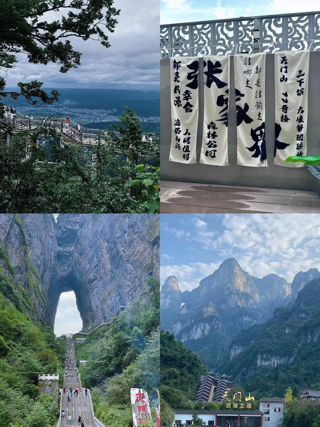 旅游一次张家界多少钱(旅游一次张家界多少钱合适)