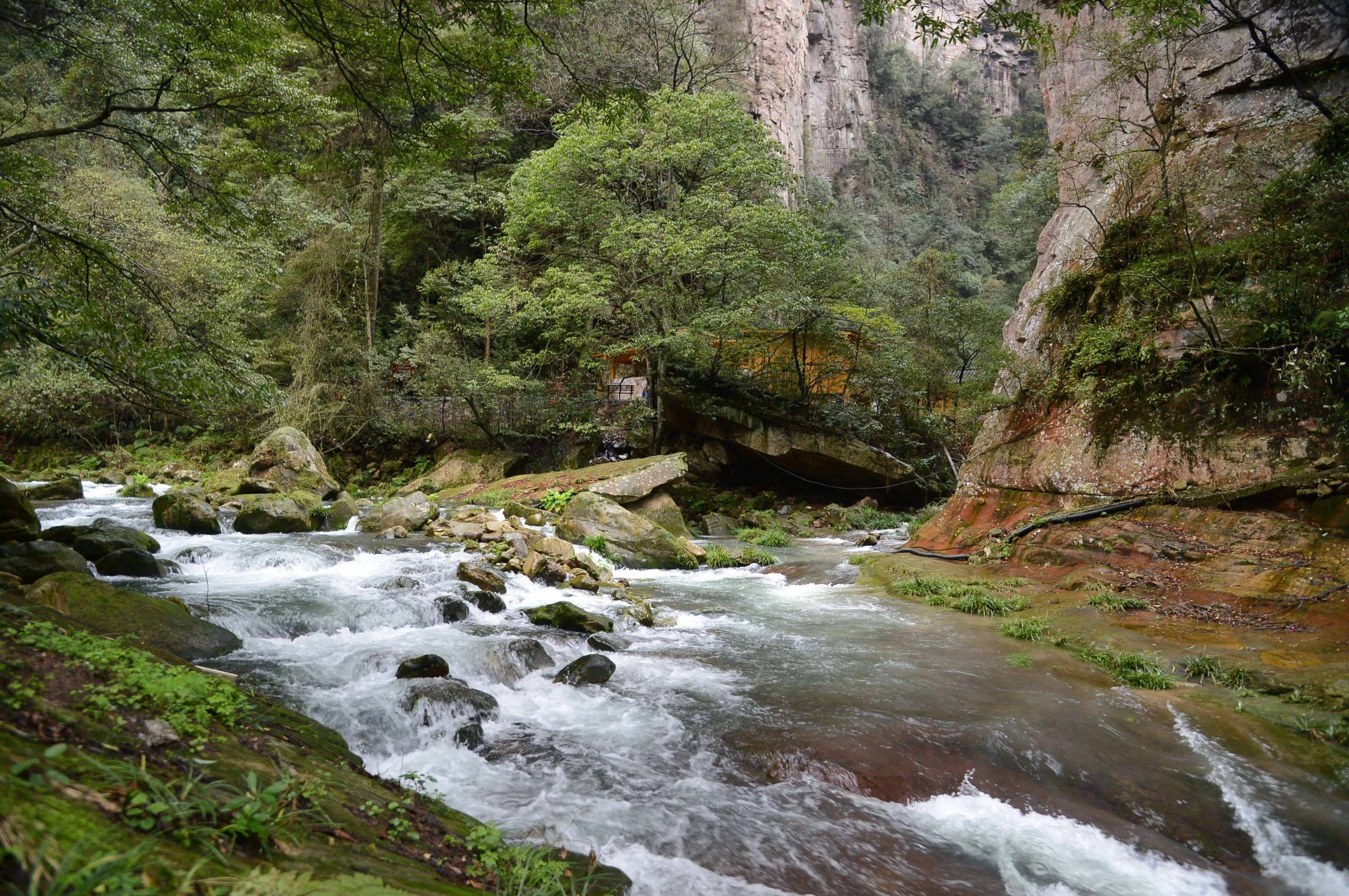 旅游区张家界(旅游区张家界在哪里) 旅游区张家界(旅游区张家界在哪里)