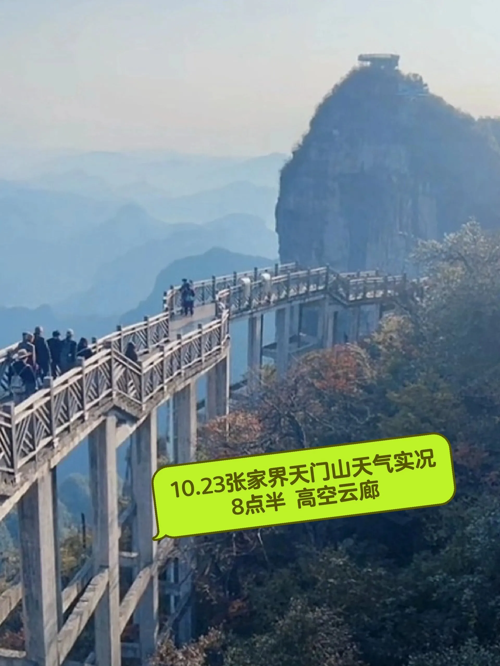 张家界天门山老人能去吗(张家界天门山老人能去吗今天)