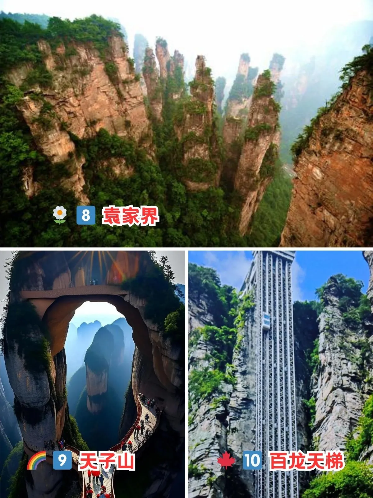 张家界旅游排行榜(张家界旅游景点排名前十)