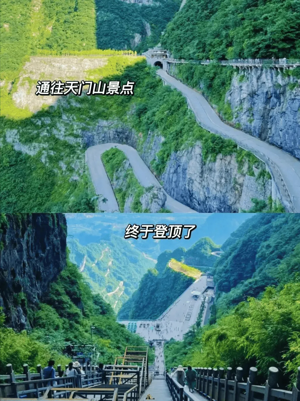 长春出发张家界旅游攻略(长春出发张家界旅游攻略路线图)