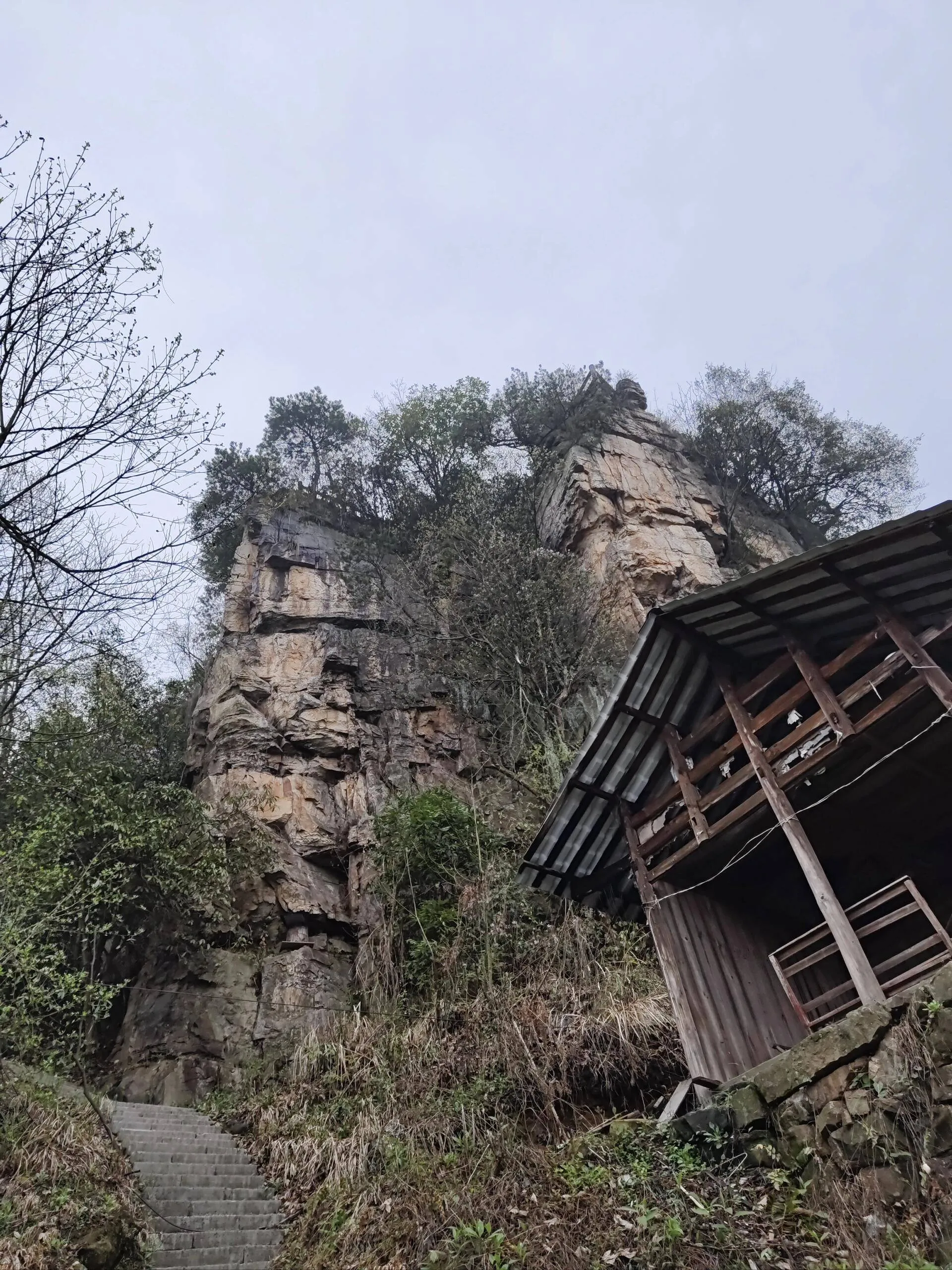 从重庆去张家界自驾旅游攻略(从重庆去张家界自驾旅游攻略图)