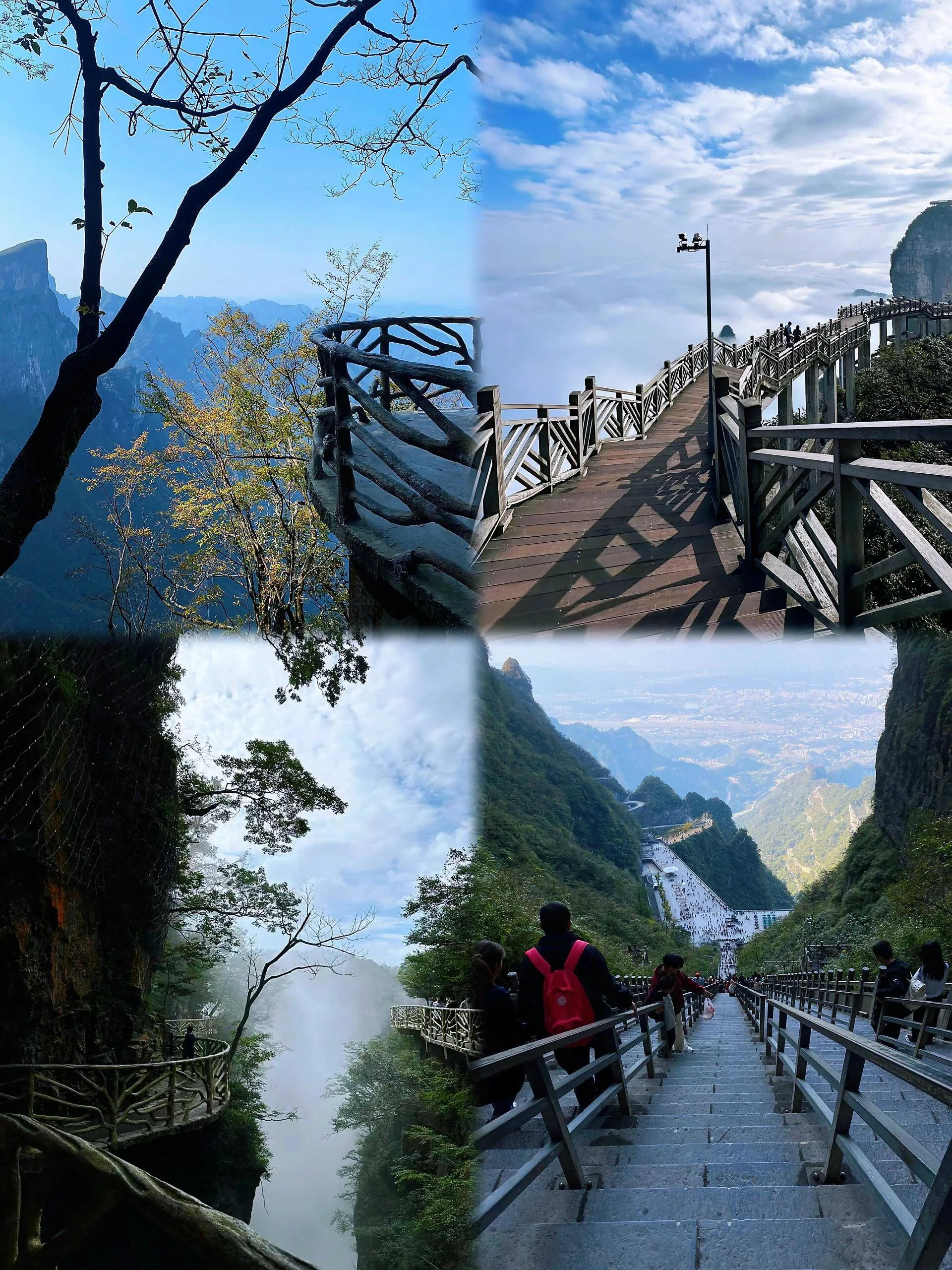 济南至张家界旅游攻略(济南至张家界旅游攻略路线图)