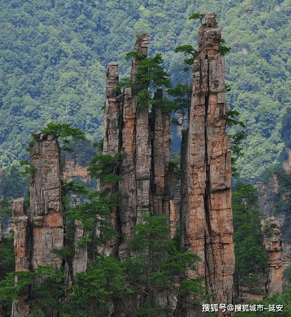 张家界长沙旅游攻略4日游(长沙张家界旅游攻略景点必去)