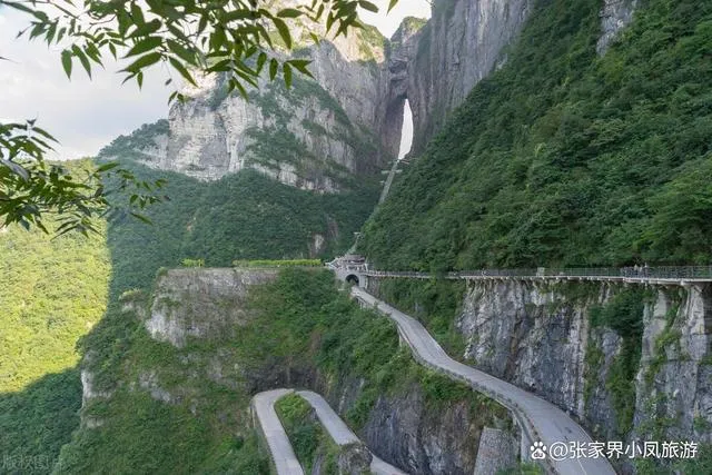 南昌去张家界游玩攻略(南昌到张家界旅游攻略三天)