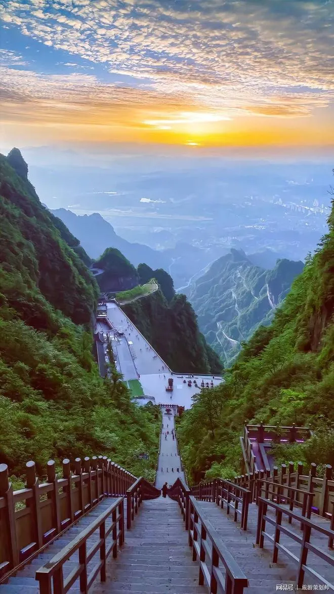 张家界张家界游(张家界张家界游玩路线)