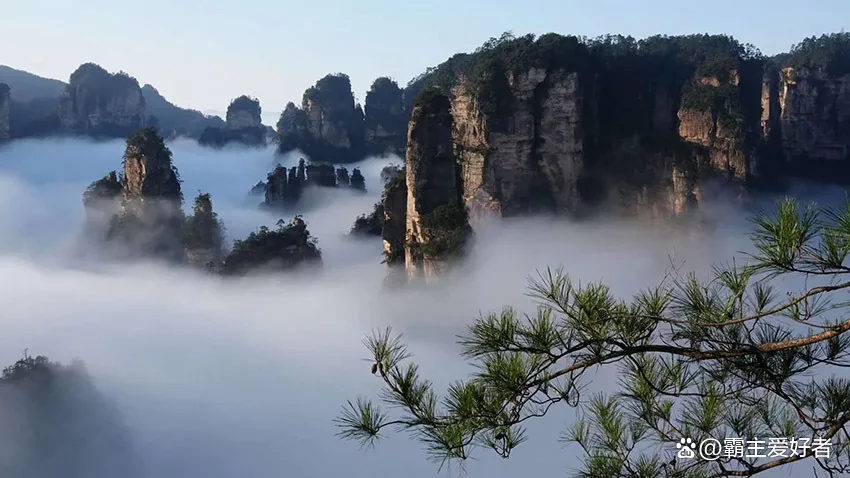 南昌去张家界游玩攻略(南昌到张家界旅游攻略三天)