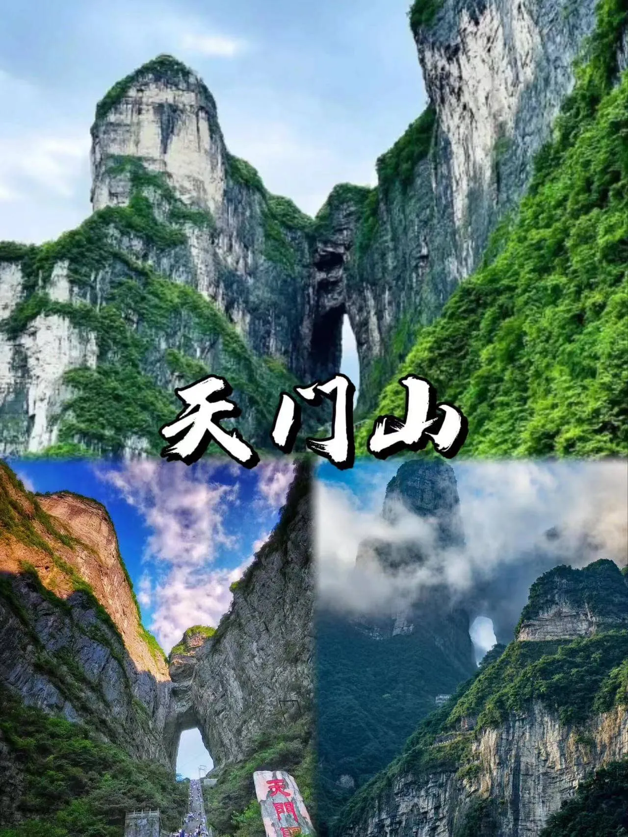 旅行到张家界(旅行到张家界攻略)