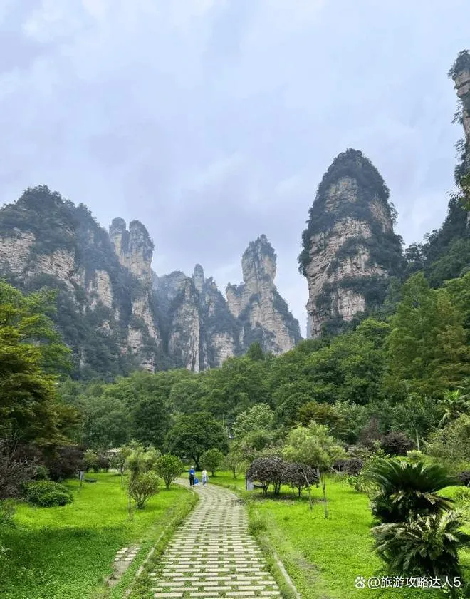 张家界旅行张家界(旅游景点张家界旅游线路报价)