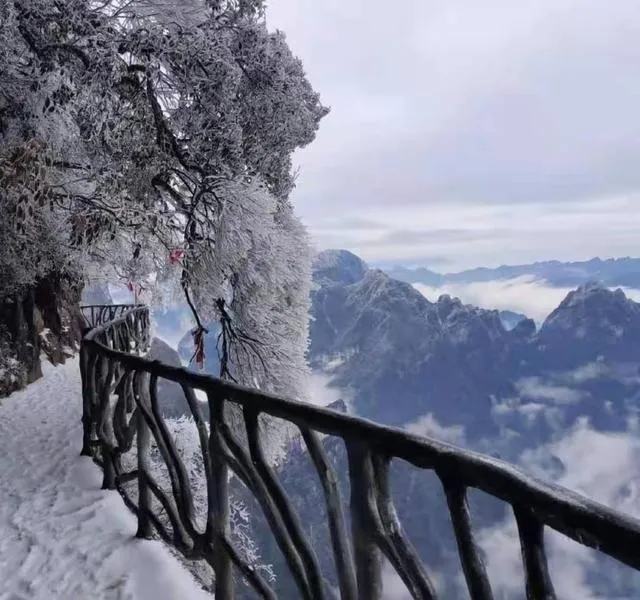 冬季适合去张家界旅游吗?(冬天去张家界旅游攻略自由行三天)