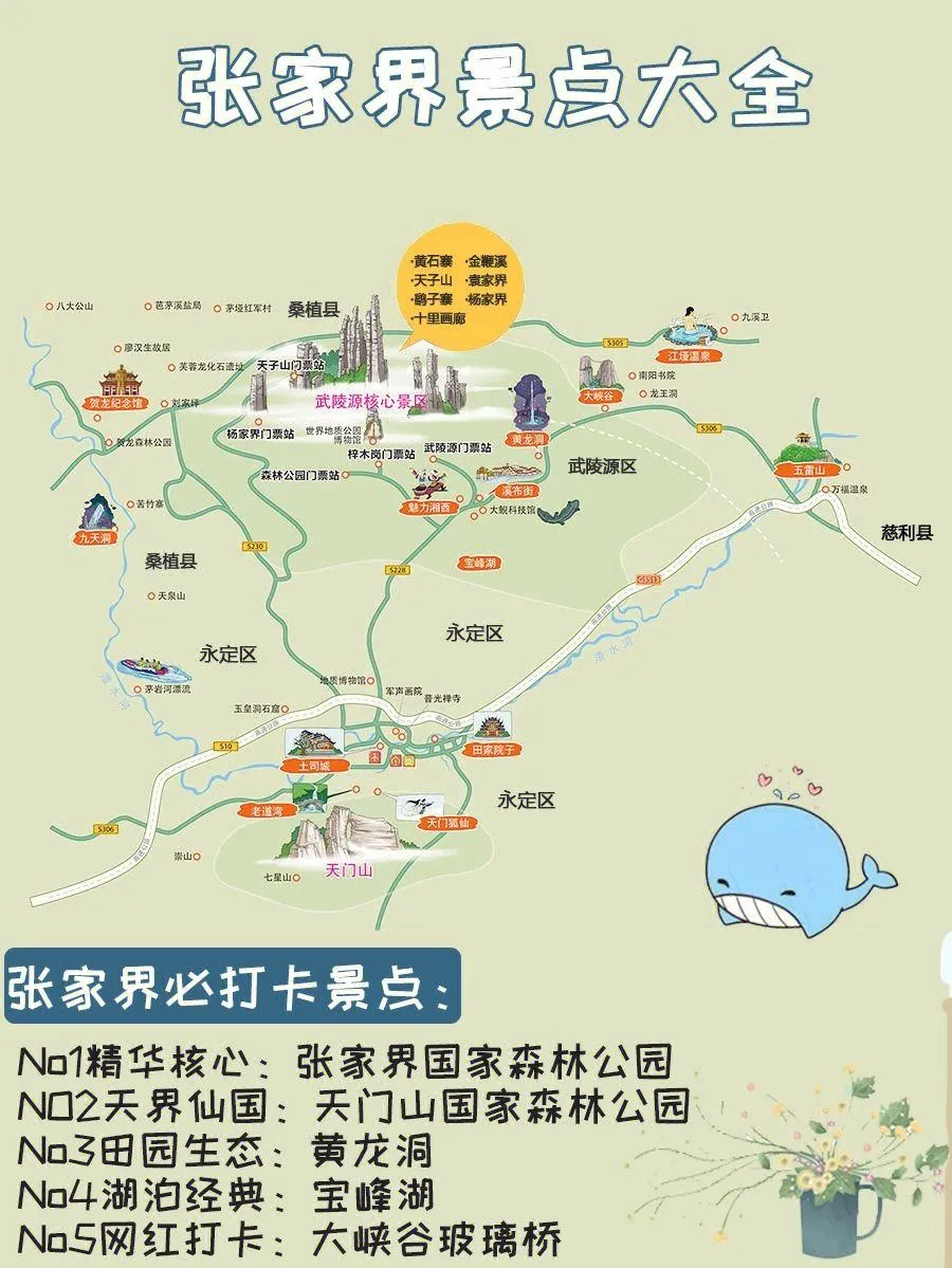 旅行线路张家界(张家界旅游线路网)