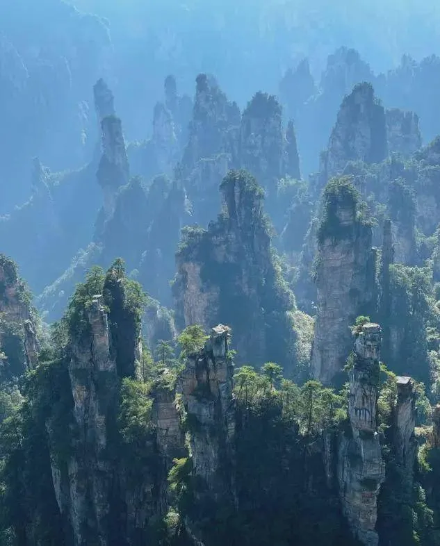 黄山张家界旅游攻略(黄山张家界旅游攻略路线)