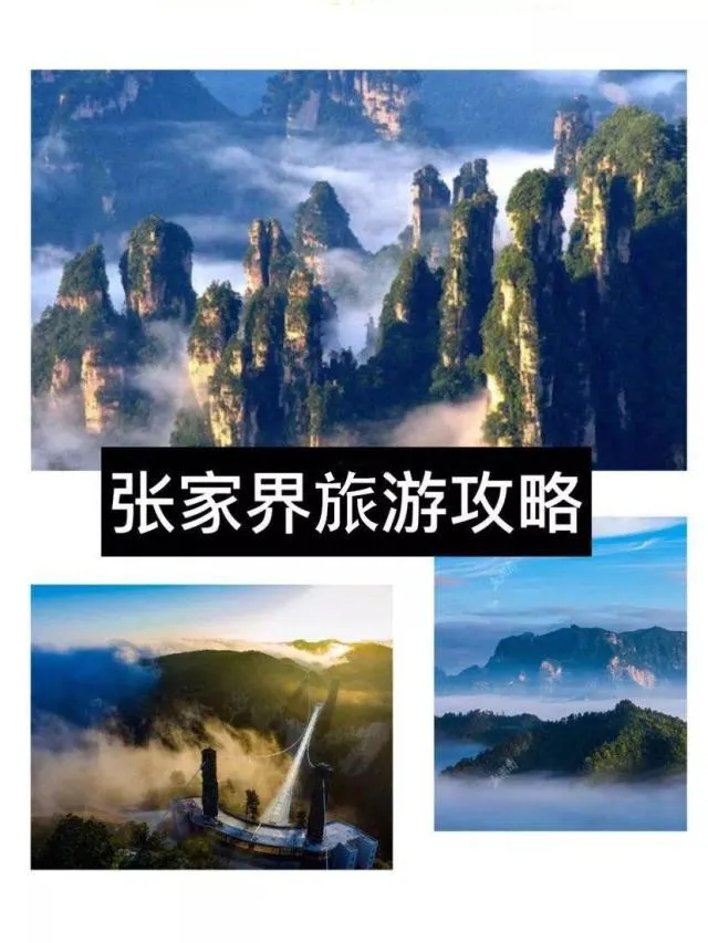 到张家界攻略旅游攻略(到张家界攻略旅游攻略图)
