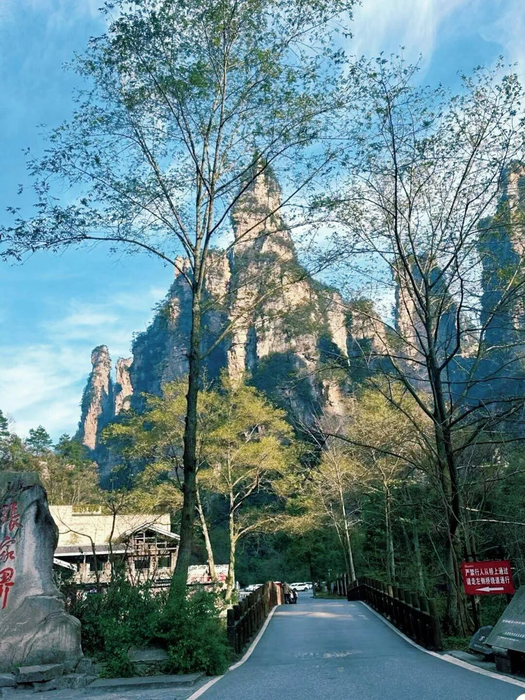 武汉到张家界旅游攻略(武汉到张家界旅游攻略路线)
