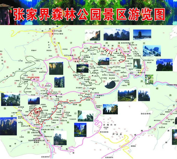 想去张家界玩怎么安排(去张家界自由行怎么安排)