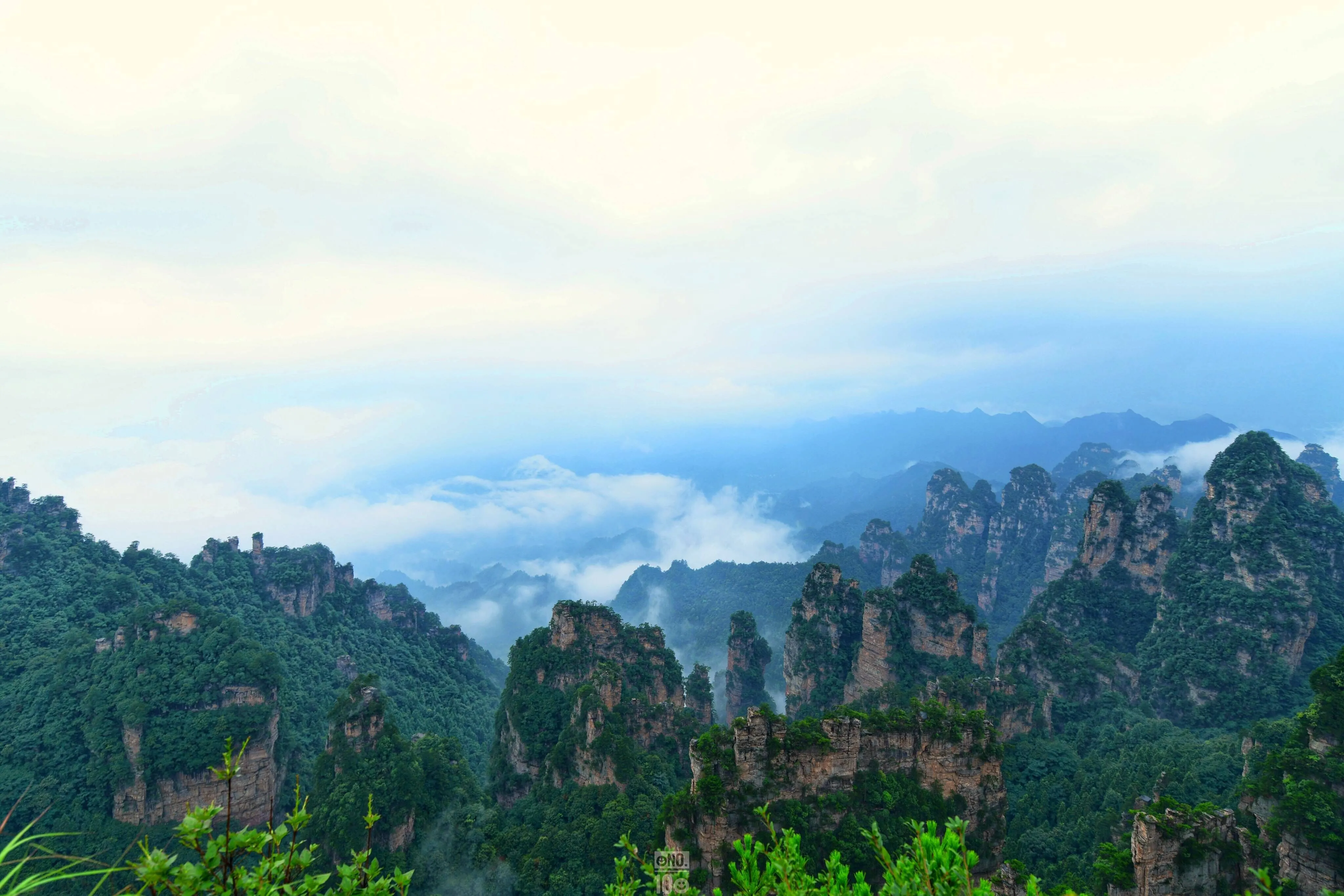 张家界旅游去处(张家界旅游攻略必去)