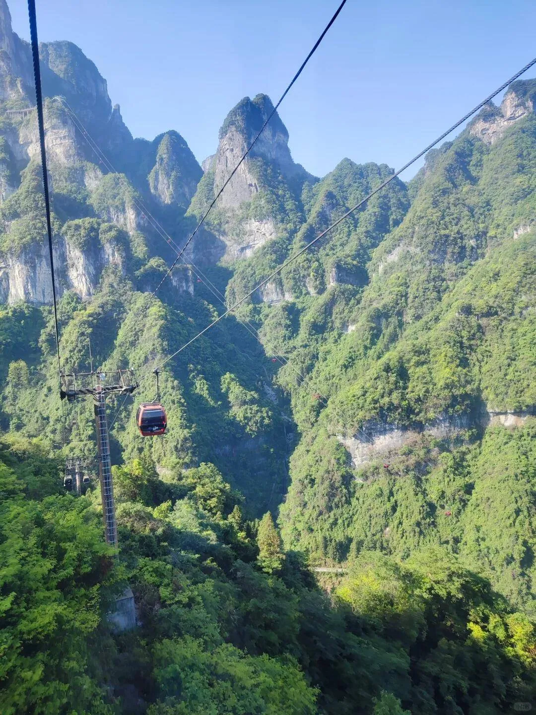 八月张家界玻璃栈道旅游攻略(张家界玻璃栈道旅游景点在哪里)