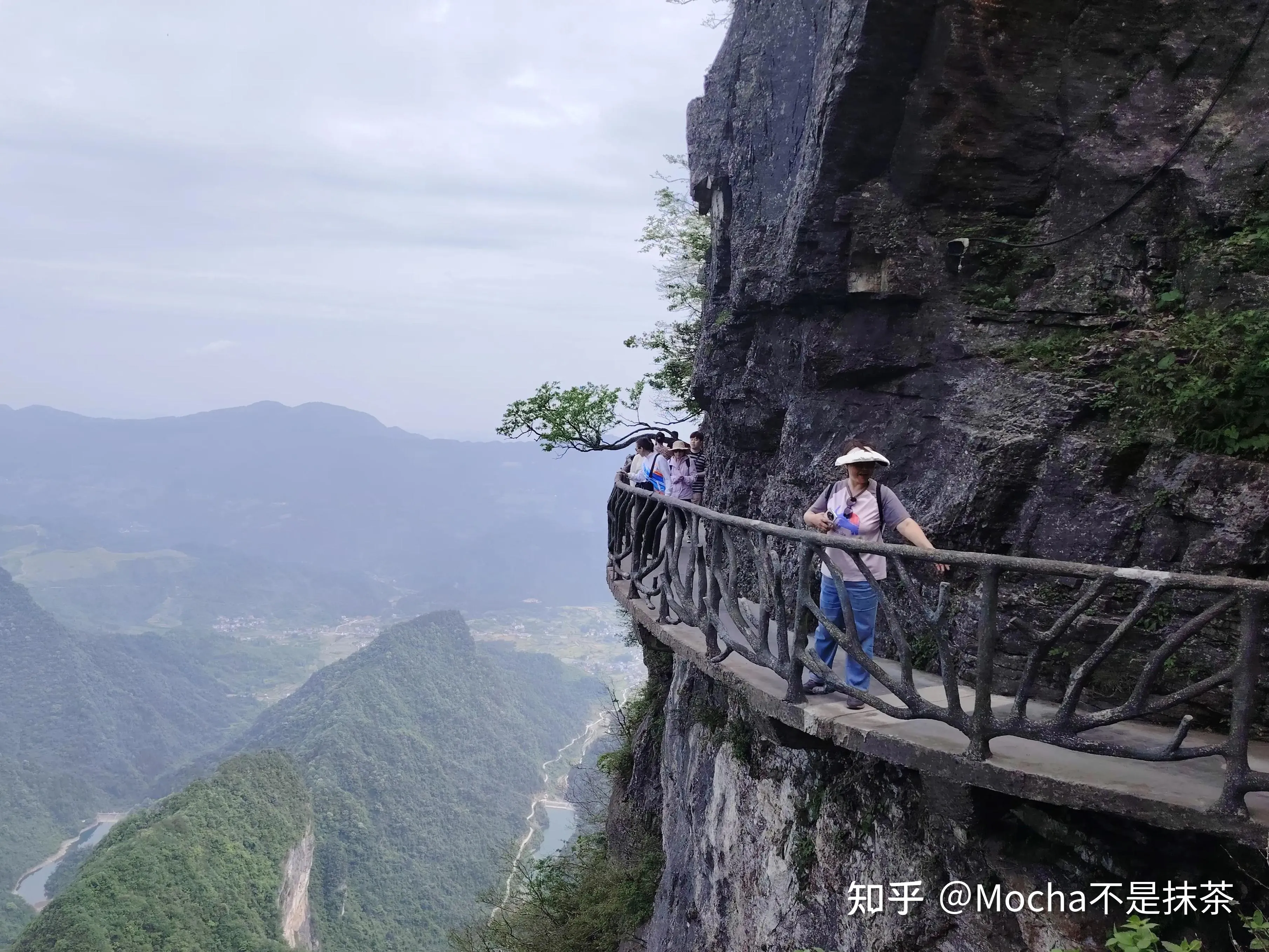 张家界天门山旅游景区门票(张家界天门山景区门票多少钱)