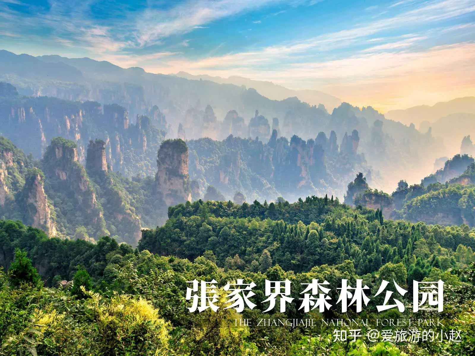 旅游关于张家界(关于张家界的游记)