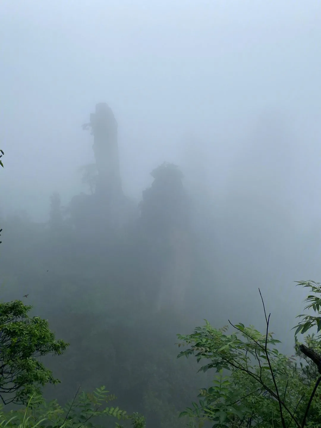 下雨天适合去张家界玩(下雨天适合去张家界玩的说说)