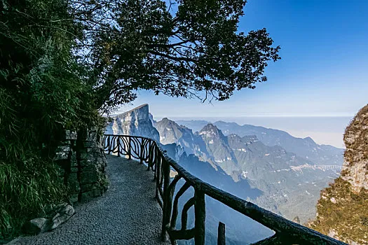 张家界天门山都有哪些景点(张家界天门山有哪些景点可看?)