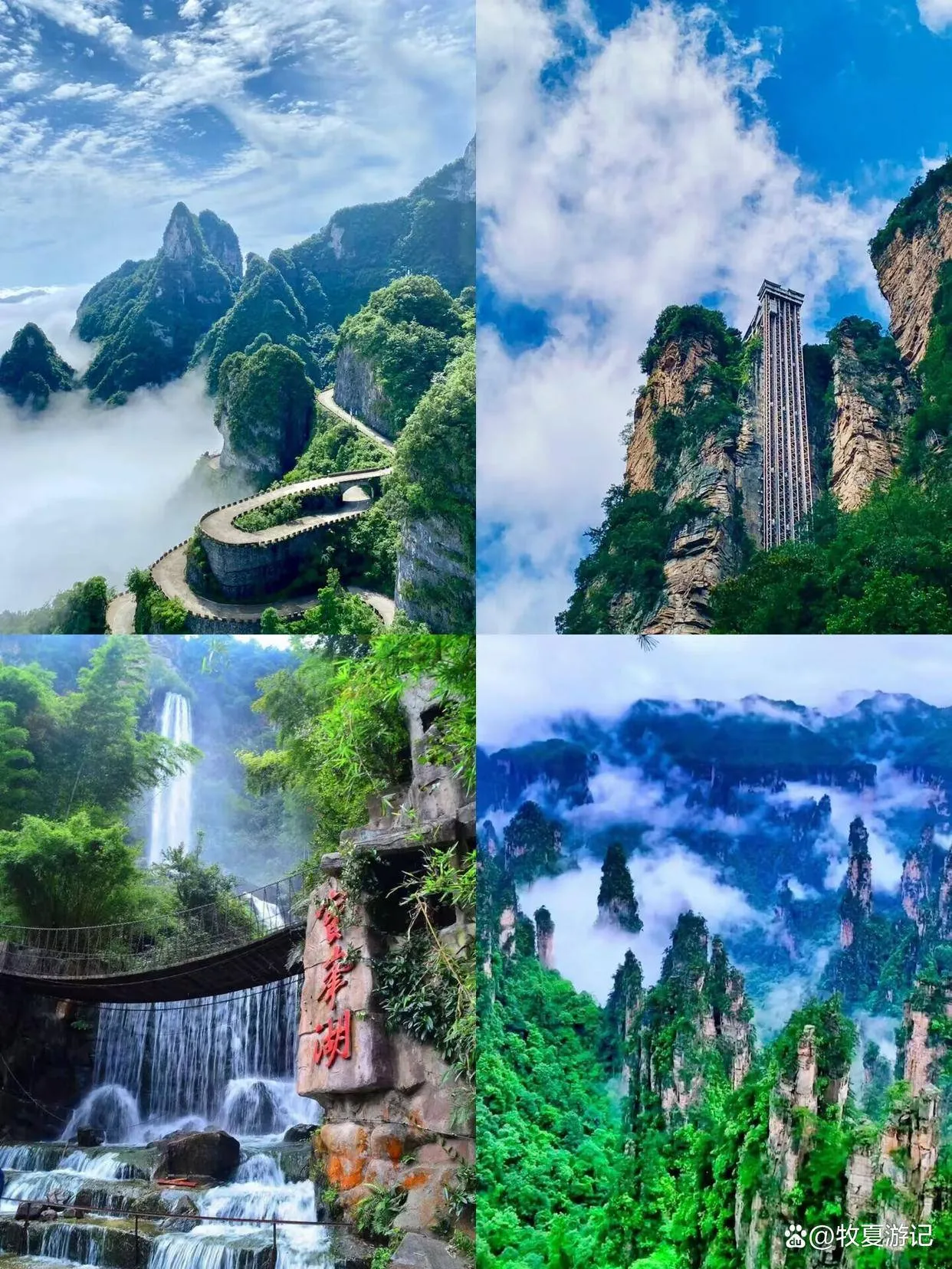 去张家界旅游有(去张家界旅游有哪些景点)