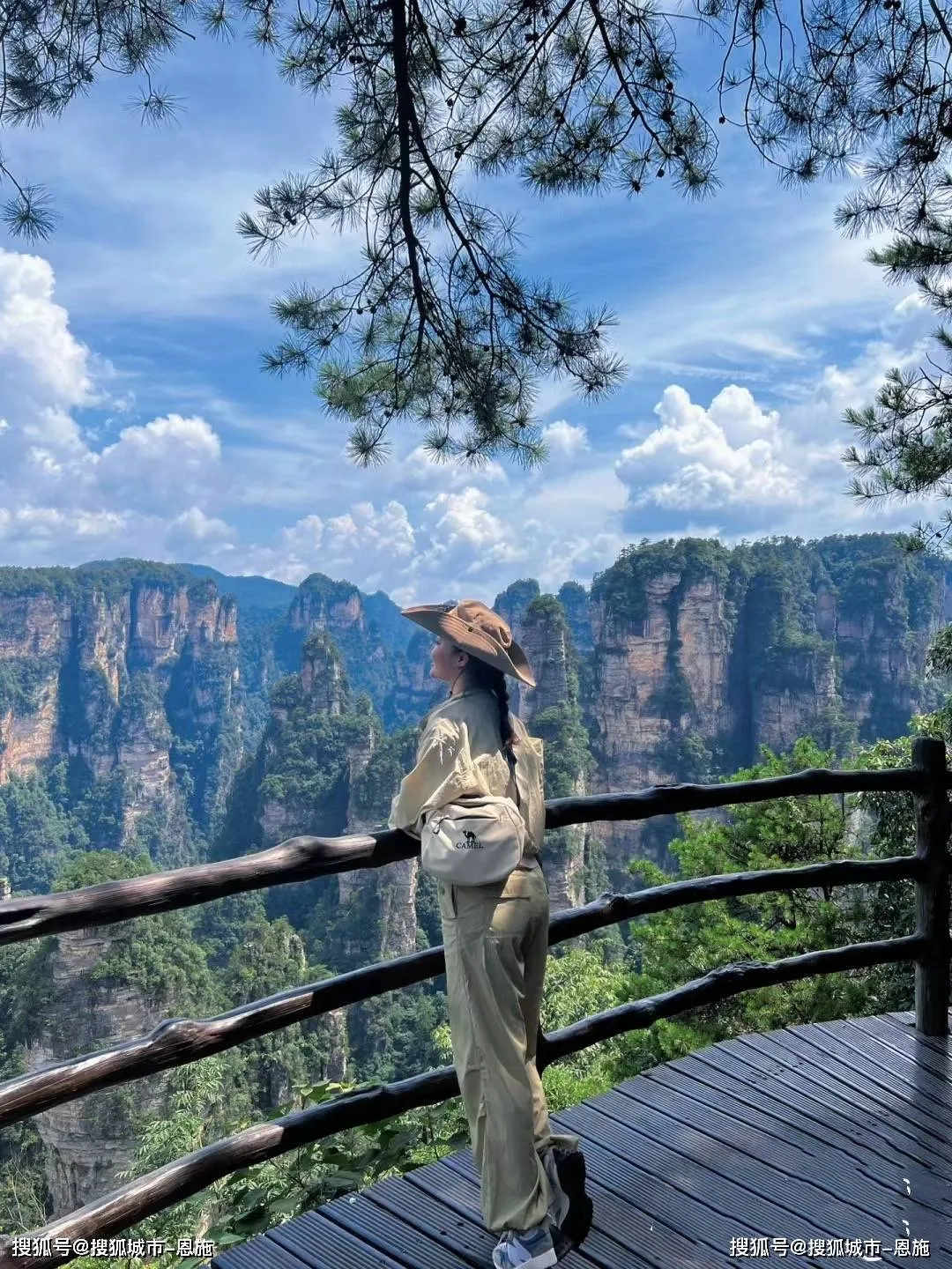 70多岁老人适合去张家界旅游吗(旅游张家界景区七十岁的人能免费吗)
