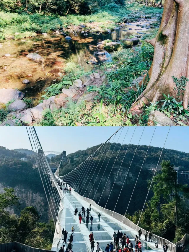 张家界黄石寨旅游攻略(张家界黄石寨爬上去多久)