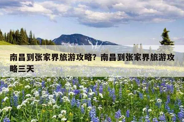 南昌到张家界的旅游攻略(南昌到张家界怎么去最快最方便?)