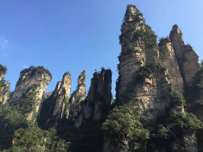 湖南张家界旅游(湖南张家界旅游景区)
