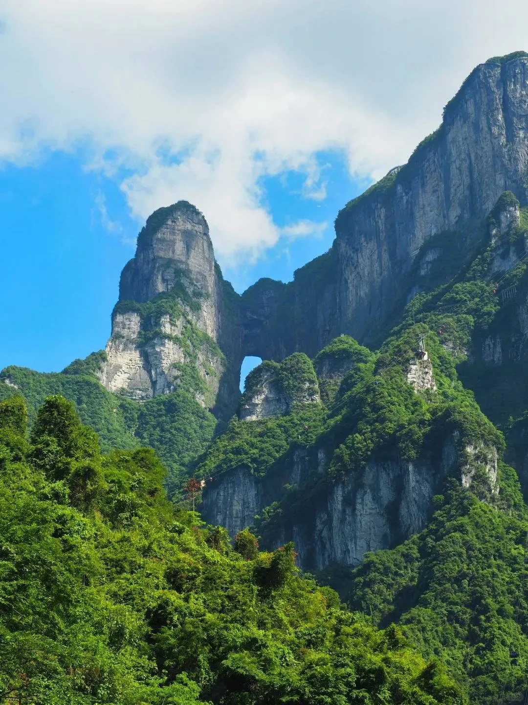 去张家界玩一趟多少钱(去张家界玩一趟多少钱人民币) 去张家界玩一趟多少钱(去张家界玩一趟多少钱人民币)